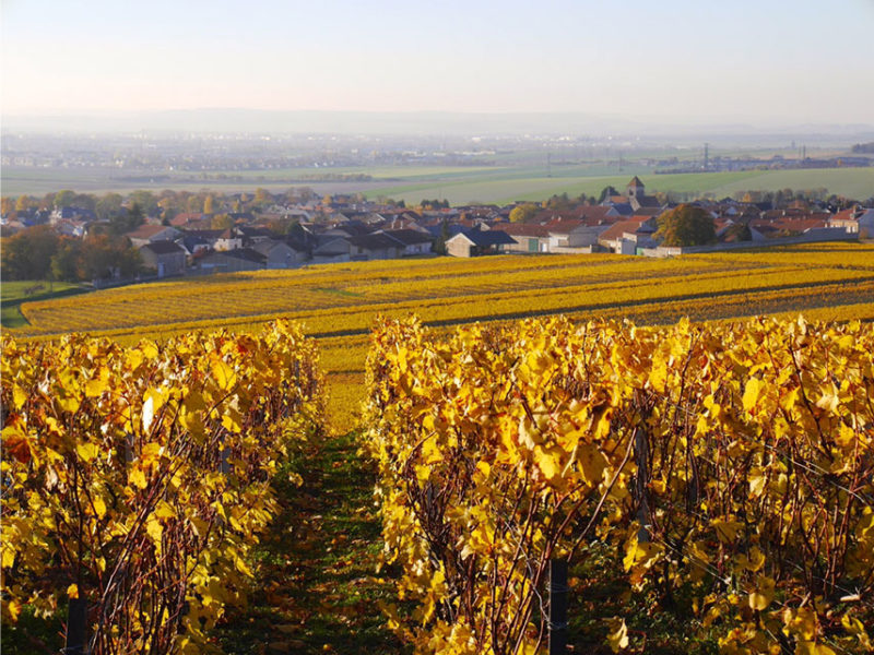 Accueil Cernay l s Reims accueil-cernay-l-s-reims